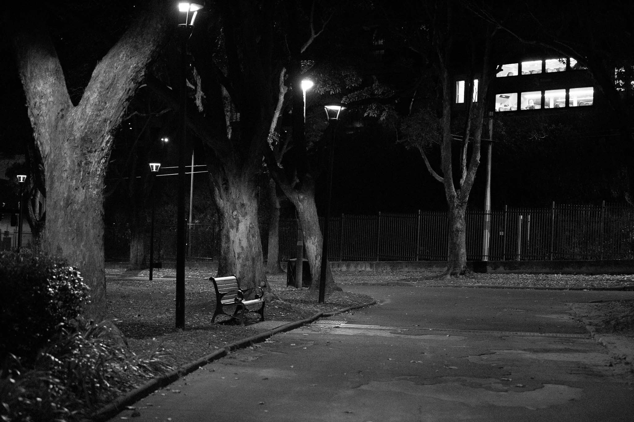 An empty, top-lit pathway through Belmore Park, with a single park bench illuminated under the park lighting. A metal fence at the rear of the photo, separating the park from a dark embankment, and a bright, clinically-lit interior of a train passing at top of frame.