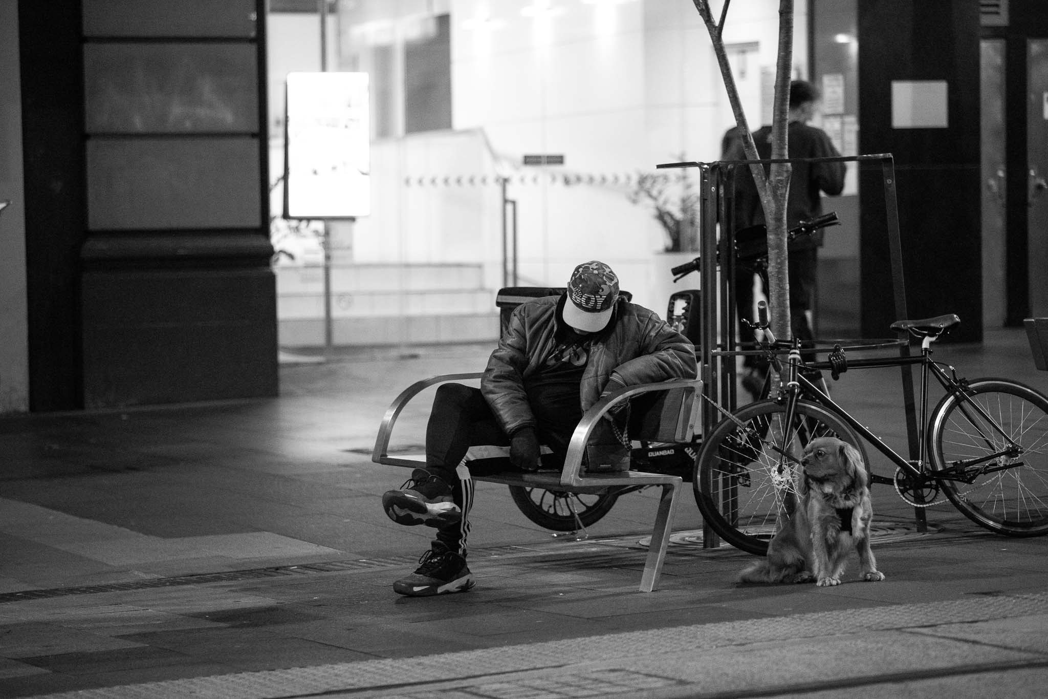 A guy is sitting on a street bench, wearing a jacket and a cap emblazoned with "BOY", the letters made out of the American flag. Behind the bench, a bike is locked to a tree, with a small dog leashed to the bench looking down the street. Behind it all, two pedestrians walk in front of a bright storefront.